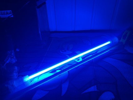 Neon Tube - 43cm - 12V 