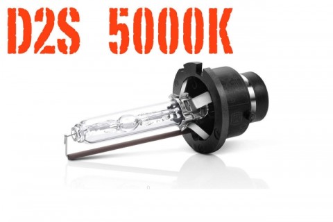Xenon bulb D2S color 5000K 